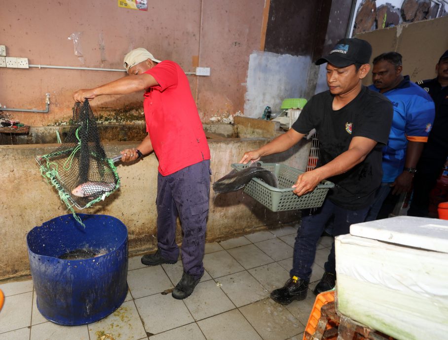 大都会（版2头）/MBSA联合移民局大阵仗扫荡劳板抓242外劳