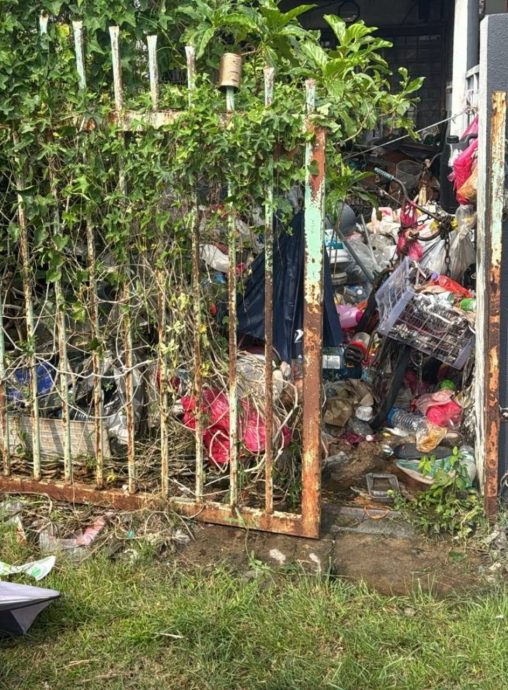 大都会(版5头)/巴生王城市政厅常月会议