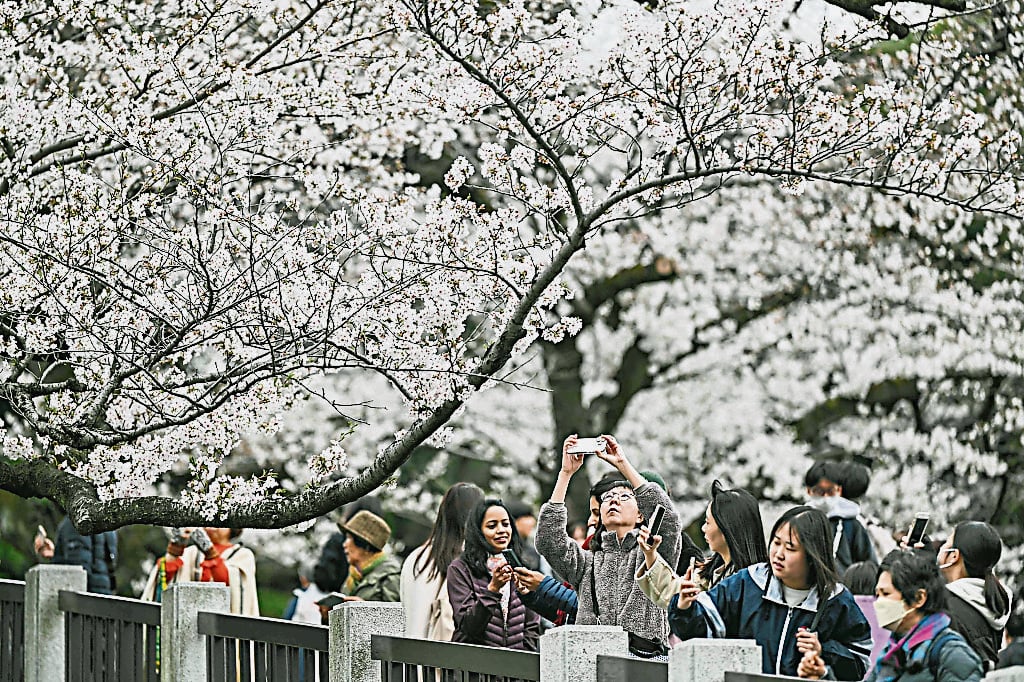 大都会/ME02头/电访日本地震是否影响旅游团？