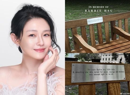 大S伦敦纪念长椅落成 刻字“一颗划过天际的流星”