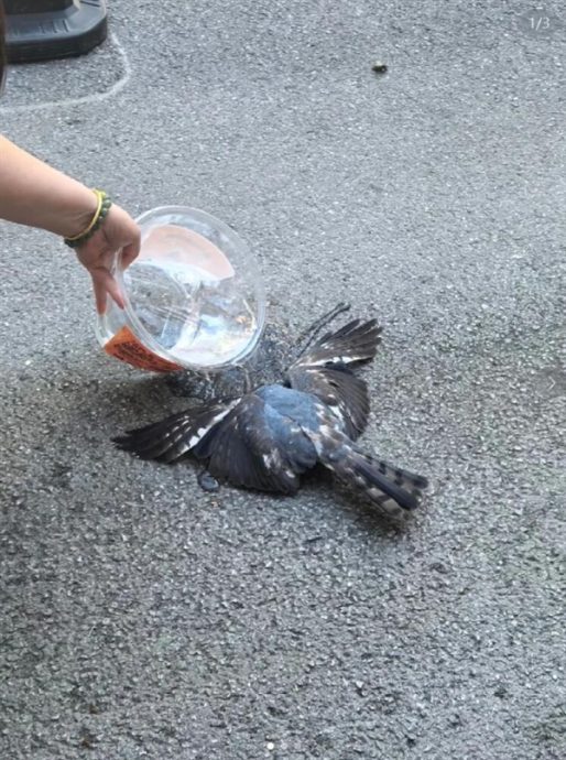 天气太热狂吃冰淇淋 上海女子“脑结冰”