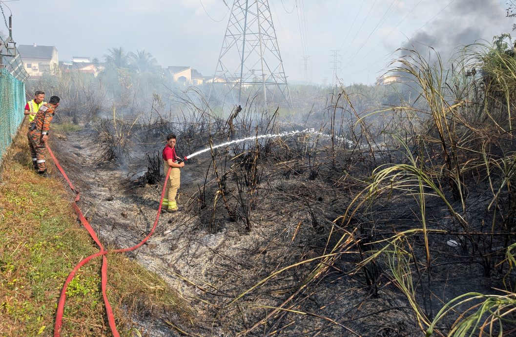 太平火车站旁丛林着火 危及电流转驳站幸被扑灭