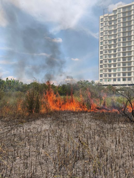 安德申公寓一带林区起火 3.5英亩灌木丛烧成焦土