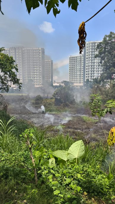 安德申公寓一带林区起火 3.5英亩灌木丛烧成焦土