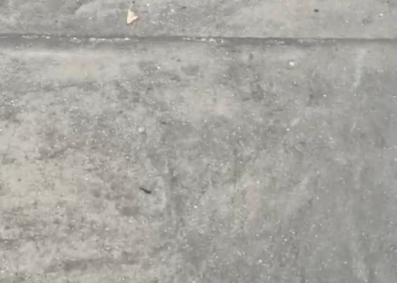 安顺午后大雨 天降小冰雹