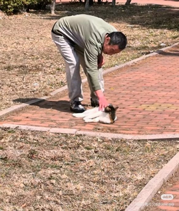 山东温高42.4℃ 高校停考放假 宿管中暑身亡