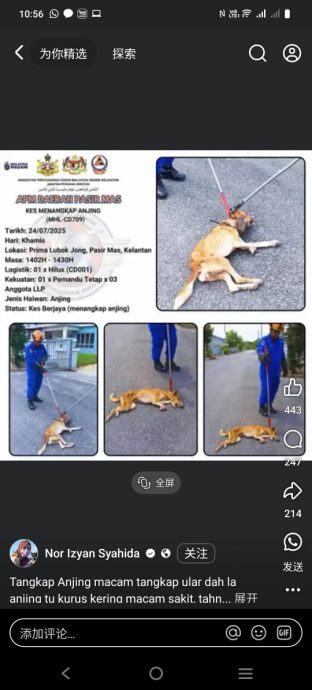 巫裔女网筹1100令吉 招网友一起找断腿狗