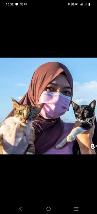 巫裔女网筹1100令吉 招网友一起找断腿狗