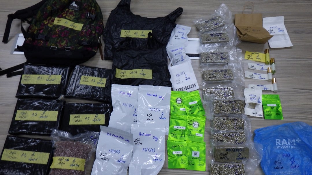 已审(大北马)两兄弟乘公交走私15公斤大麻入境 被关税局截获