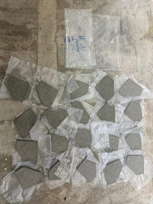 已审(大北马)毒贩趁夜混毒入马 关税局截获18公斤大麻