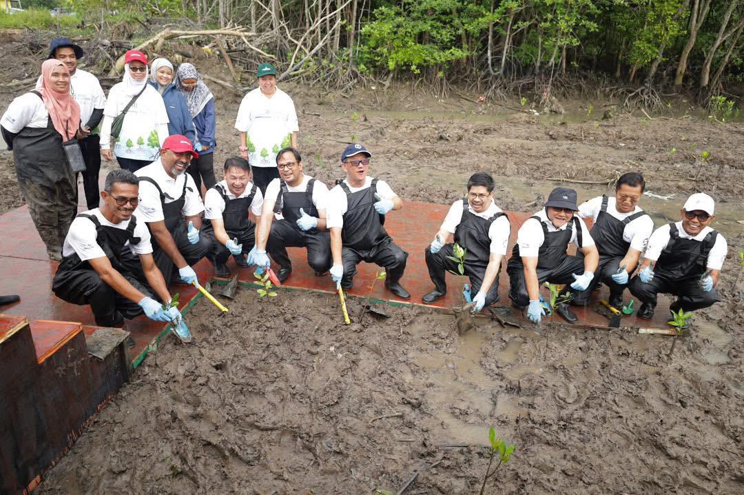 依城推“依斯干达公主城蓝碳”举措 保护红树林及海草