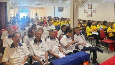 曾参与建国为华裔争取公民权  李廷汉：马华非空谈理想政党