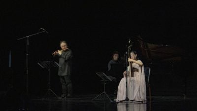 杨伟杰沙泾珊华乐情怀  大湾区与新山文化交流