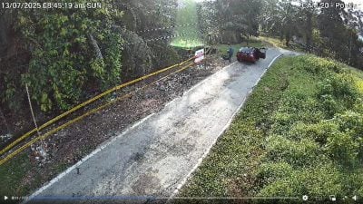 垃圾虫无惧警示响起  笨珍市会网上公开监控画面