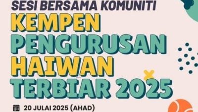 新山市政厅办  20日来领养狗儿吧