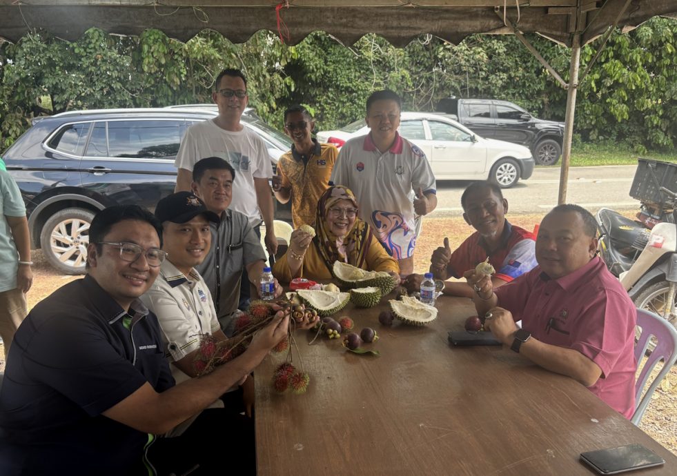 **已签发**柔：最新第二版头：阿逸班那乡委办“榴梿吃到爽！” 推本村特色与甘榜榴梿 