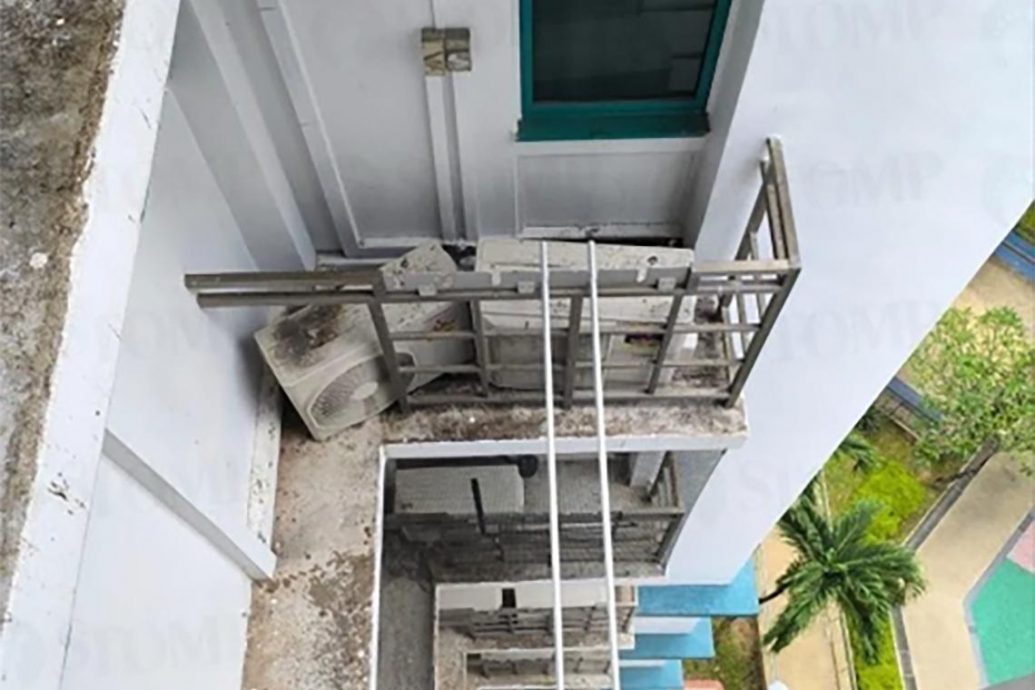 *已签发*柔：狮城二三事：鸟粪堵冷气槽难清理  居民诉：一年多无解