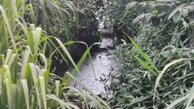 民生特工队 | 空污狂飘沟渠被染一片黑  沙威居民怒控刺鼻难受