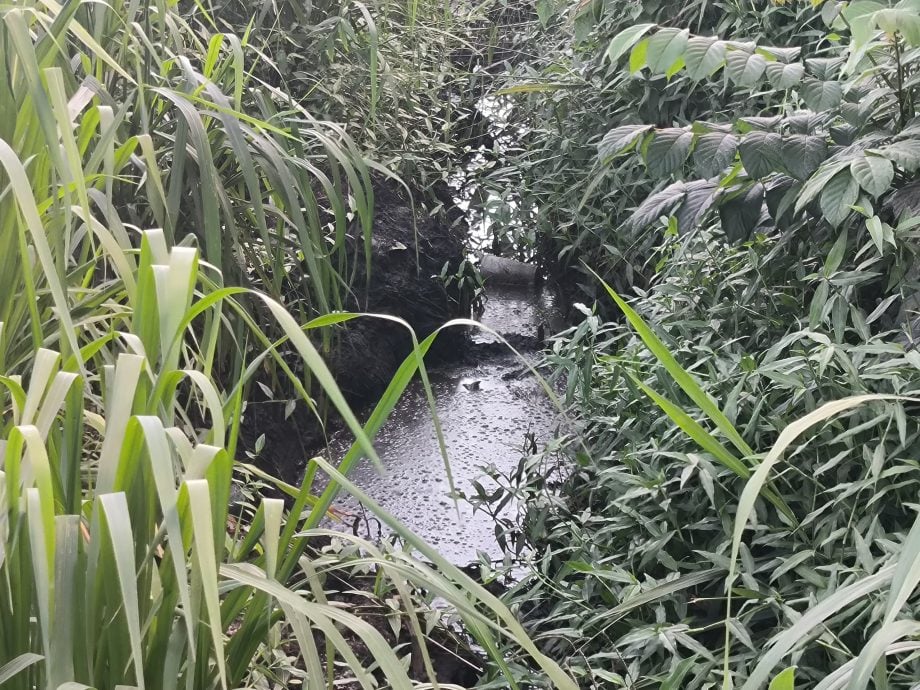 **已签发**柔：第二版头：民生特工队：空污狂飘沟渠被染一片黑  沙威居民怒控刺鼻难受