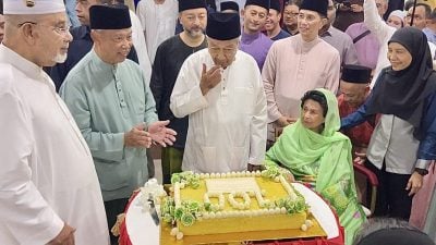 视频|马哈迪竟不知要说什么 “希望在大马没有人会吃不饱”