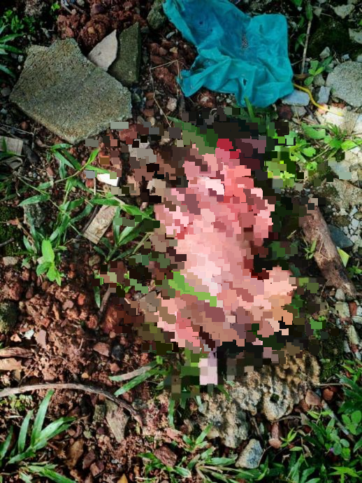 年轻情侣在偷尝禁果后暗结珠胎遗弃男婴在路边