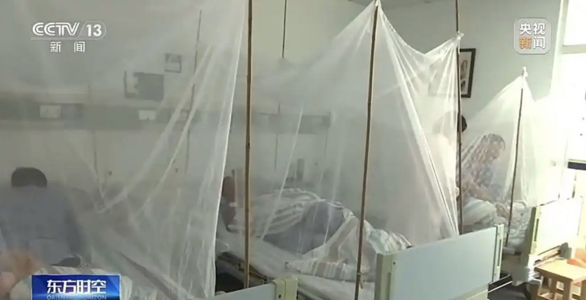 广东佛山爆 “基孔肯雅热”疫情　逾2600确诊