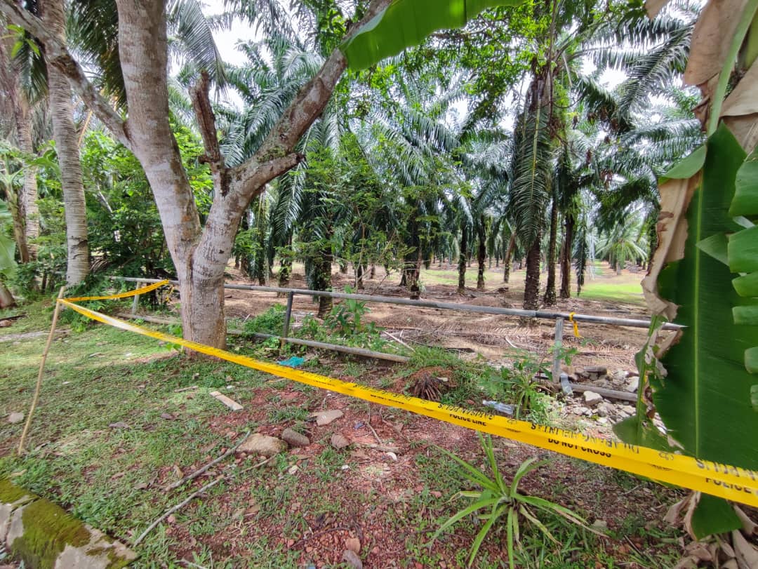 弃婴的地点经常有野狗与野猴出没所幸没有伤害到男婴