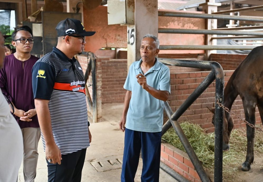 彭州政府促YP LAND调查彭马术中心马匹管理的所有指控。