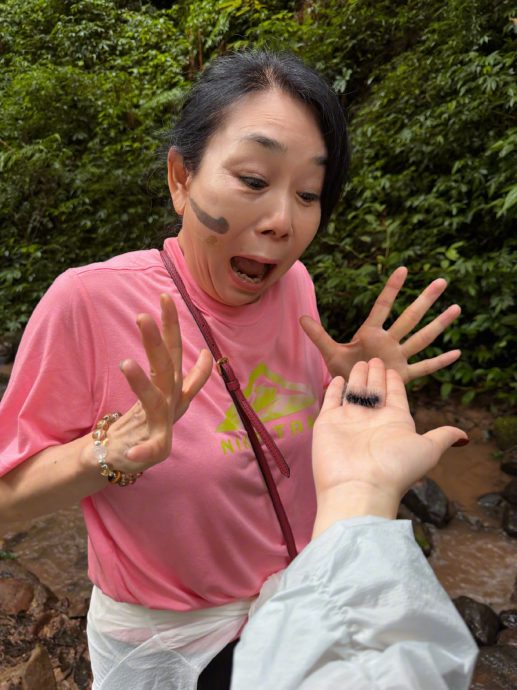 徒手抓毛虫还生吃蚂蚁 张馨予细嚼口感爆:酸的