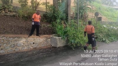 元首批抨隆市卫生差 隆市局：严正看待训诫