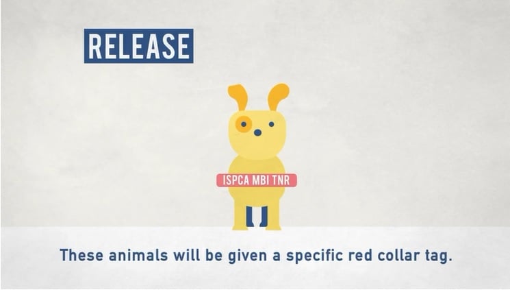 怡市厅否认仍与ISPCA合作执行TNR 已指示移除含MBI标志内容