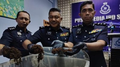 视频 | 情侣自制“冰毒香烟”卖夜店熟客 警捣破制毒基地 起值200万毒品