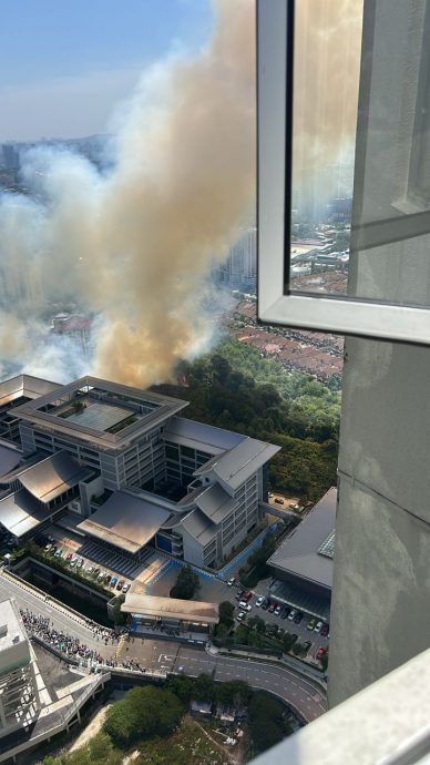 慈济国际学校后方丛林火患 40消拯员合力控制火势