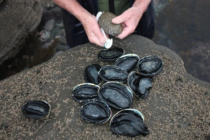 抓鲍鱼超过限额60倍 男子被判入狱2年半