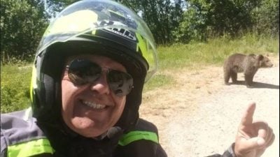 与幼熊开心自拍成遗照 游客隔天遭母熊袭击丧命