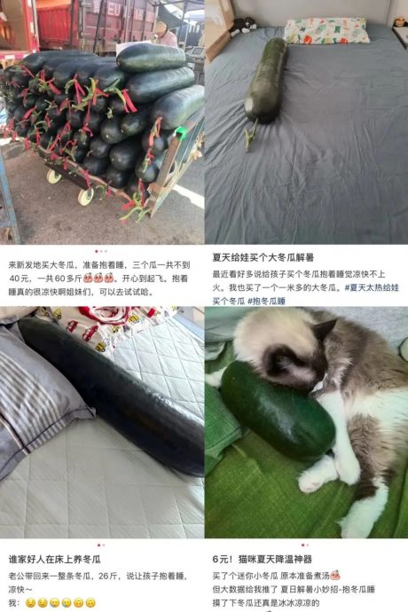 拚图两图)中国民众突疯抱冬瓜睡觉 酷热天奇招降温助眠