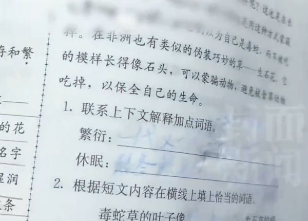 拼盘 小学生用“擦擦笔”写作业 高温天气字迹“热到消失”