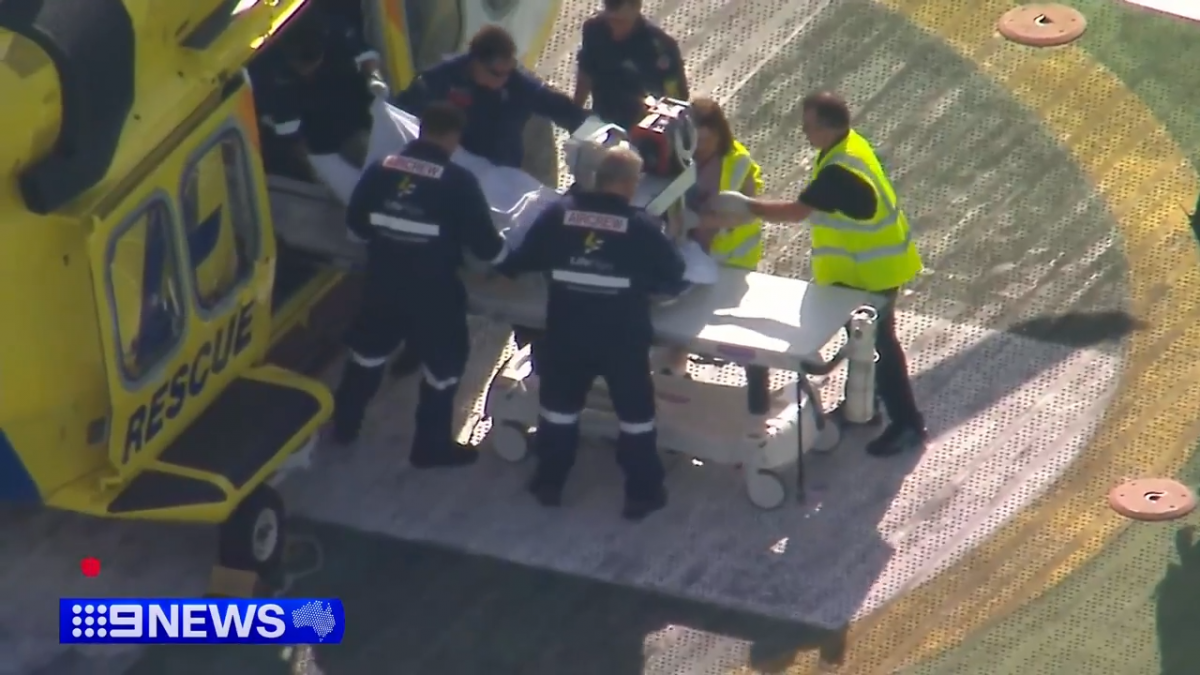 拼盘 澳女动物园观看喂狮遭袭 园方:狮子不会受罚