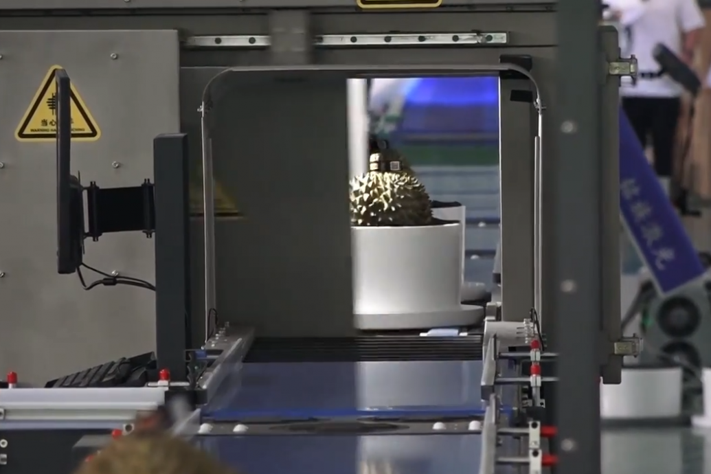 拼盘 琼AI榴梿质检员 四秒精准识别品质