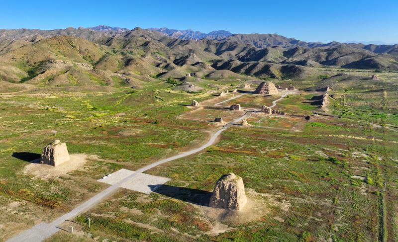 拼盘∕中国世界遗产再+1  宁夏“西夏陵”列入《世界遗产名录》  