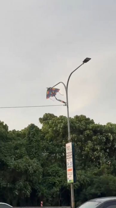 摩托车骑士遭风筝线勒伤脖子 林立迎：大道旁放风筝是危险行为