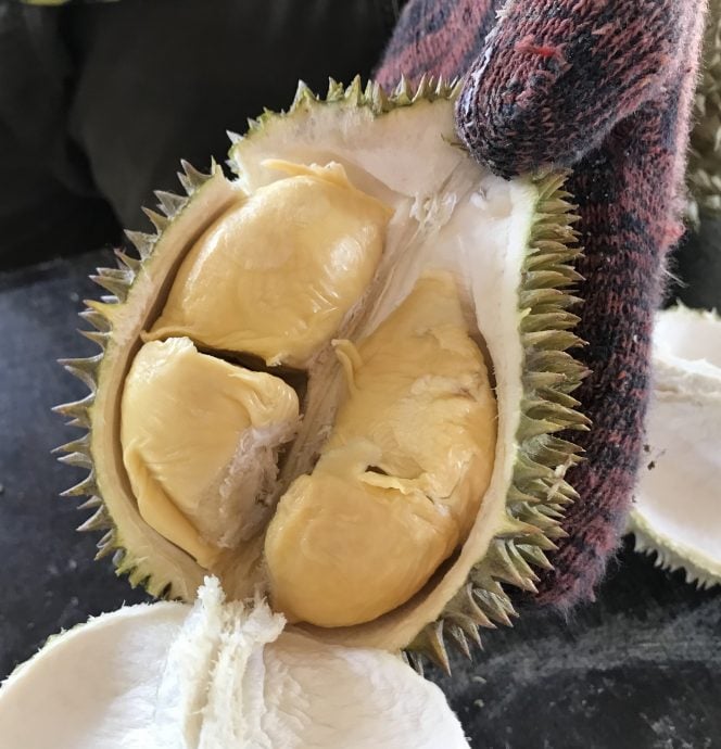 支付50令吉吃多个品种 江沙榴梿节反应热烈