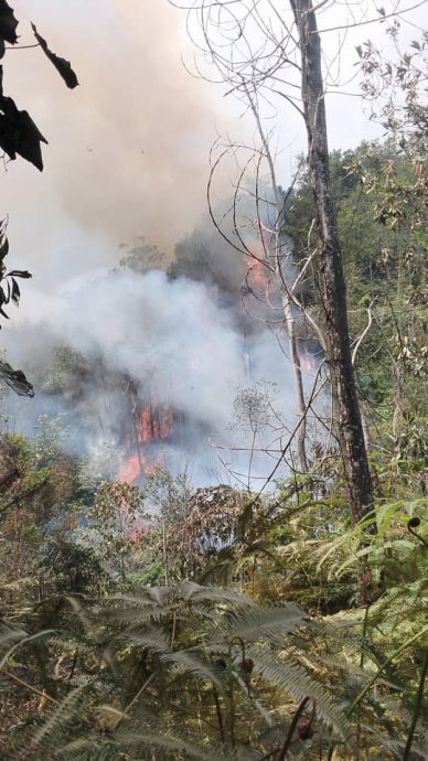 新古毛林火烧毁56英亩森林无通道入山林阻碍灭火