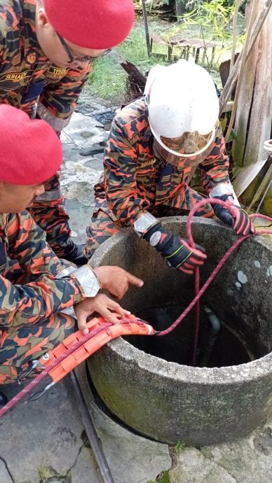 智障印裔女子 跌入住家后方枯井