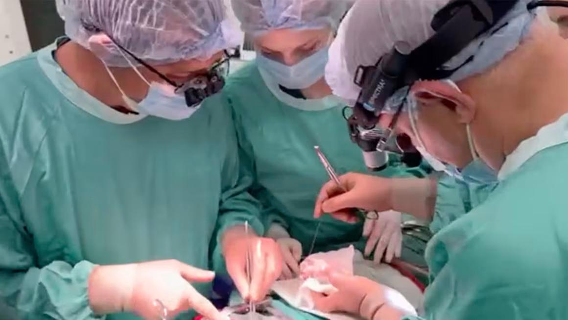 暖势力 乌克兰医生穿越俄军猛烈袭击 护送儿童心脏完成生死移植