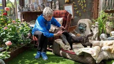 经营庇护所半世纪 90岁妇 救逾万受虐动物