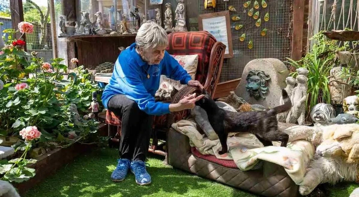 暖势力  英国九旬老妇倾其一生  拯救逾万受虐动物，退而不休