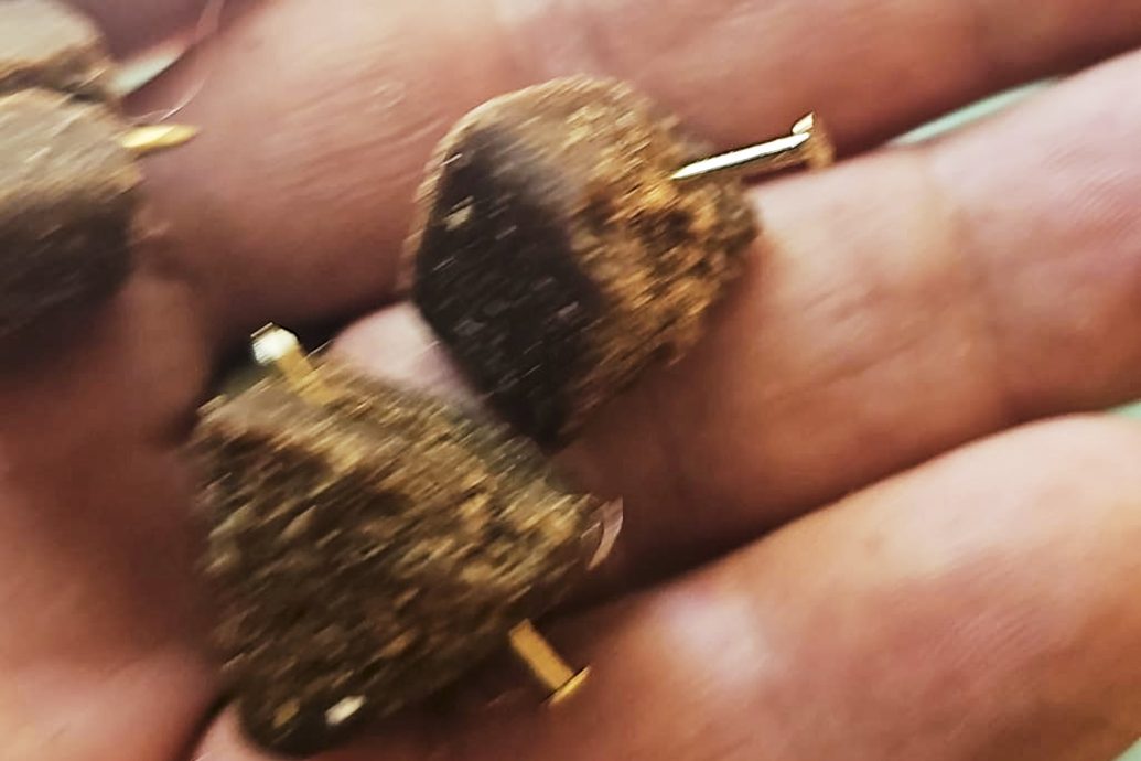 曾救出9条人命　英雄嗅探犬误食“塞满钉子香肠”遭报复杀害