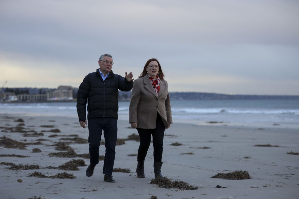 有毒藻类肆虐澳洲 数百种海洋生物死亡