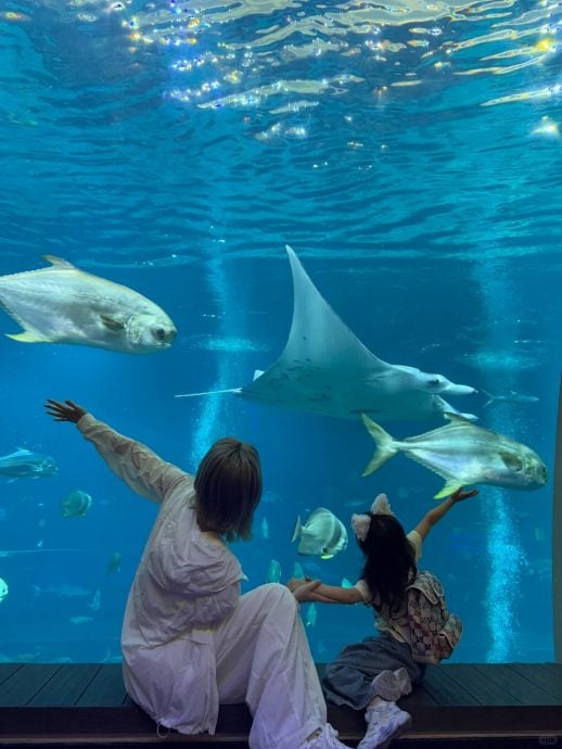 林峰一家游新加坡 为满足爱女愿望入住海底房